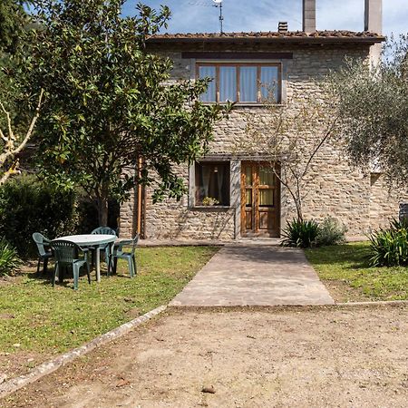 Agriturismo Il Ponte - Frantoio ヴィッキオ エクステリア 写真