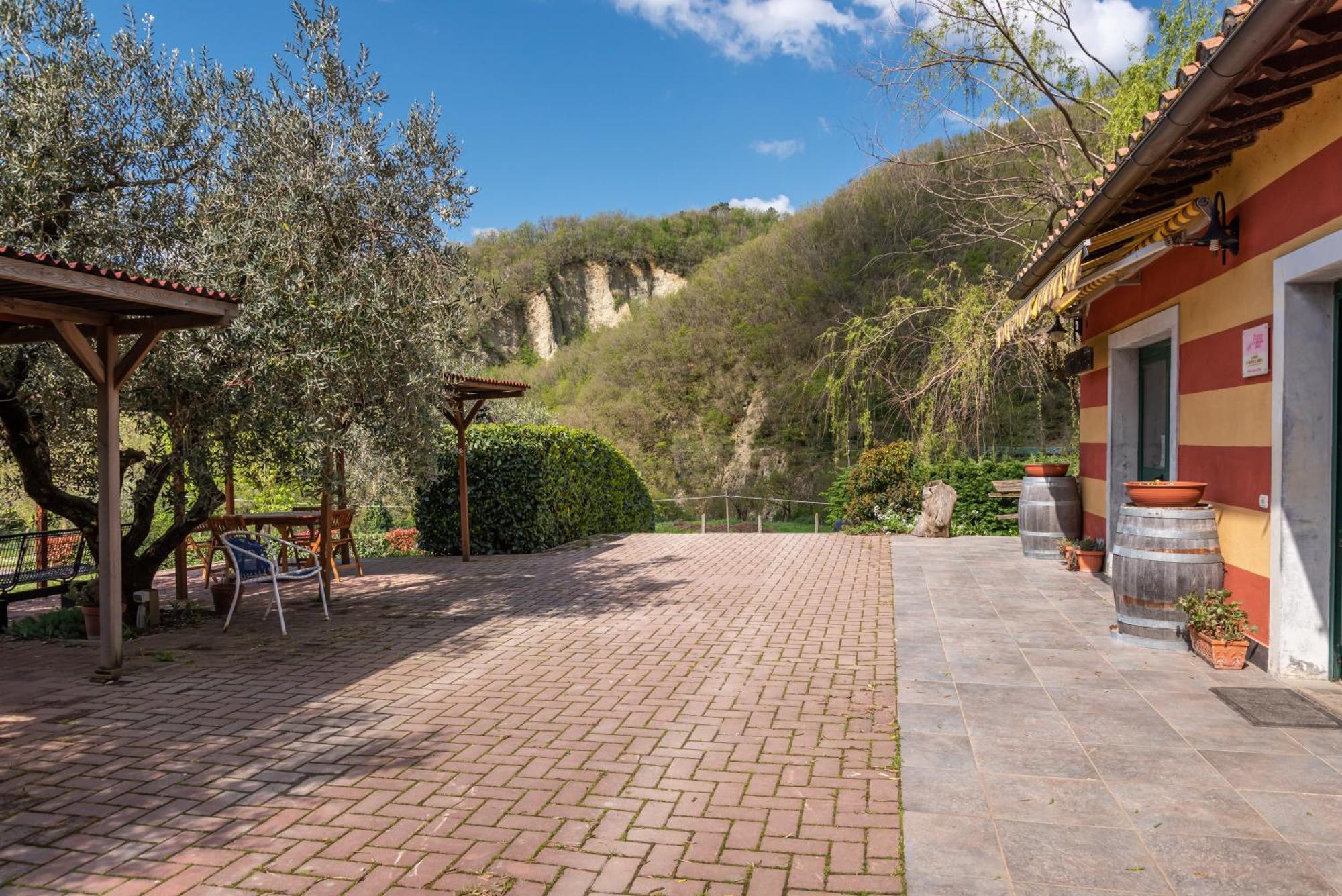 Agriturismo Il Ponte - Frantoio ヴィッキオ エクステリア 写真